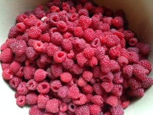 Raspberry Jam