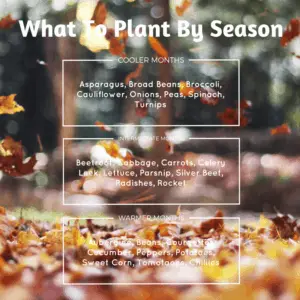 growingvegesseasons