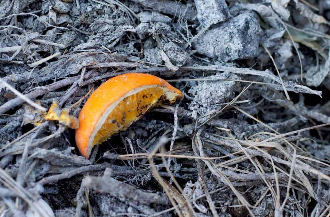 How To Manage Compost In Winters Growing And Gathering