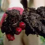 add the dirt to make compost hot
