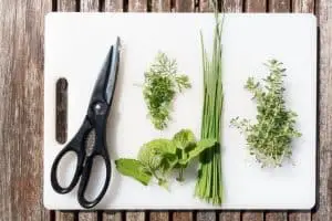 Garlic chives Herbs To Grow In Fall