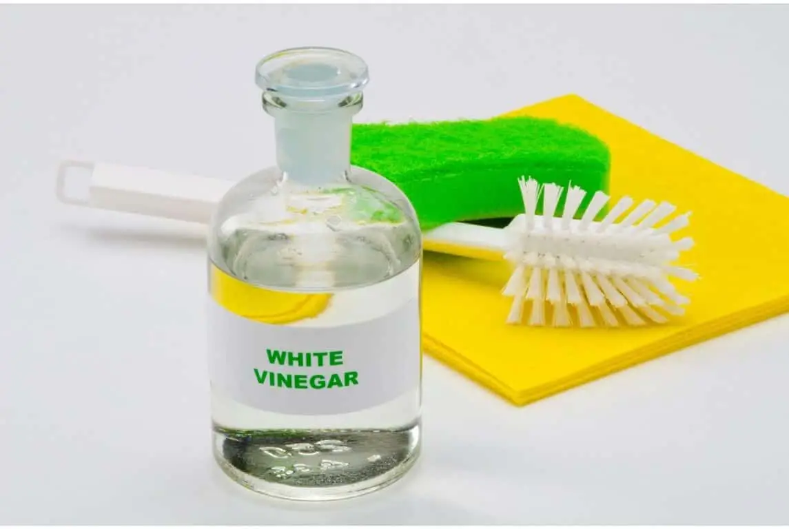 Cleaning Garden Tools with Vinegar1