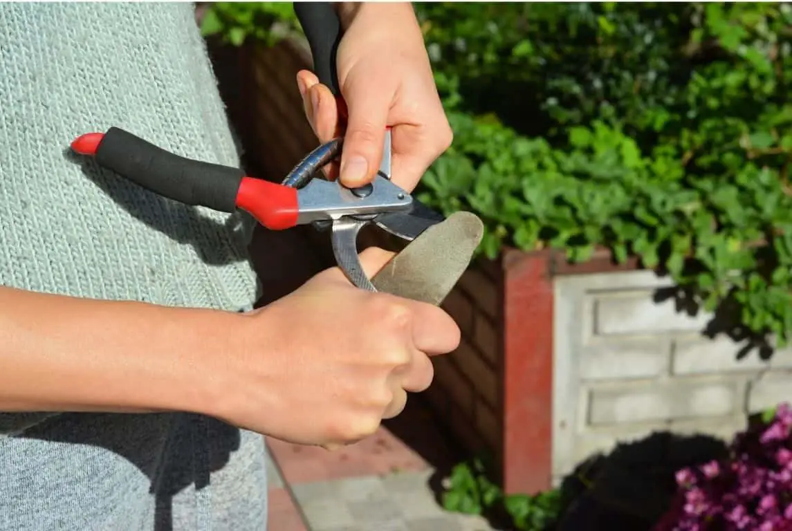 How to Sharpen Garden Shears 1