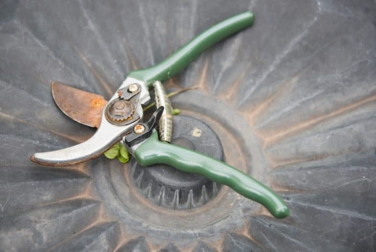 How to Sharpen Garden Shears Step By Step Guide
