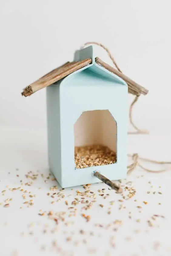 How to use bird feeders