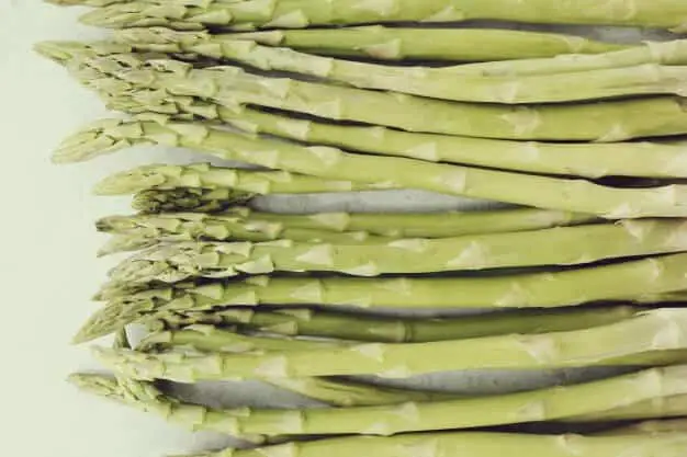 Grow Asparagus