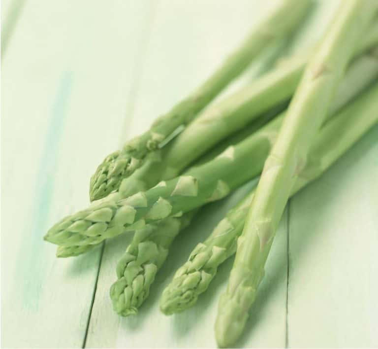 How to Grow Asparagus from Cuttings