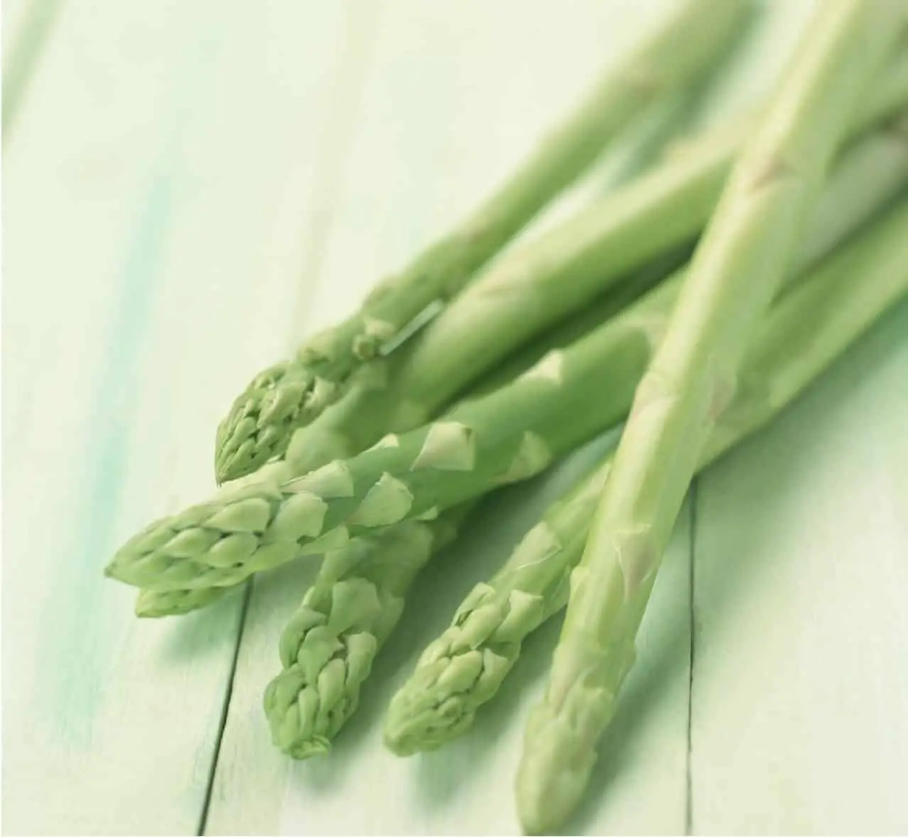 Grow Asparagus from Cuttings