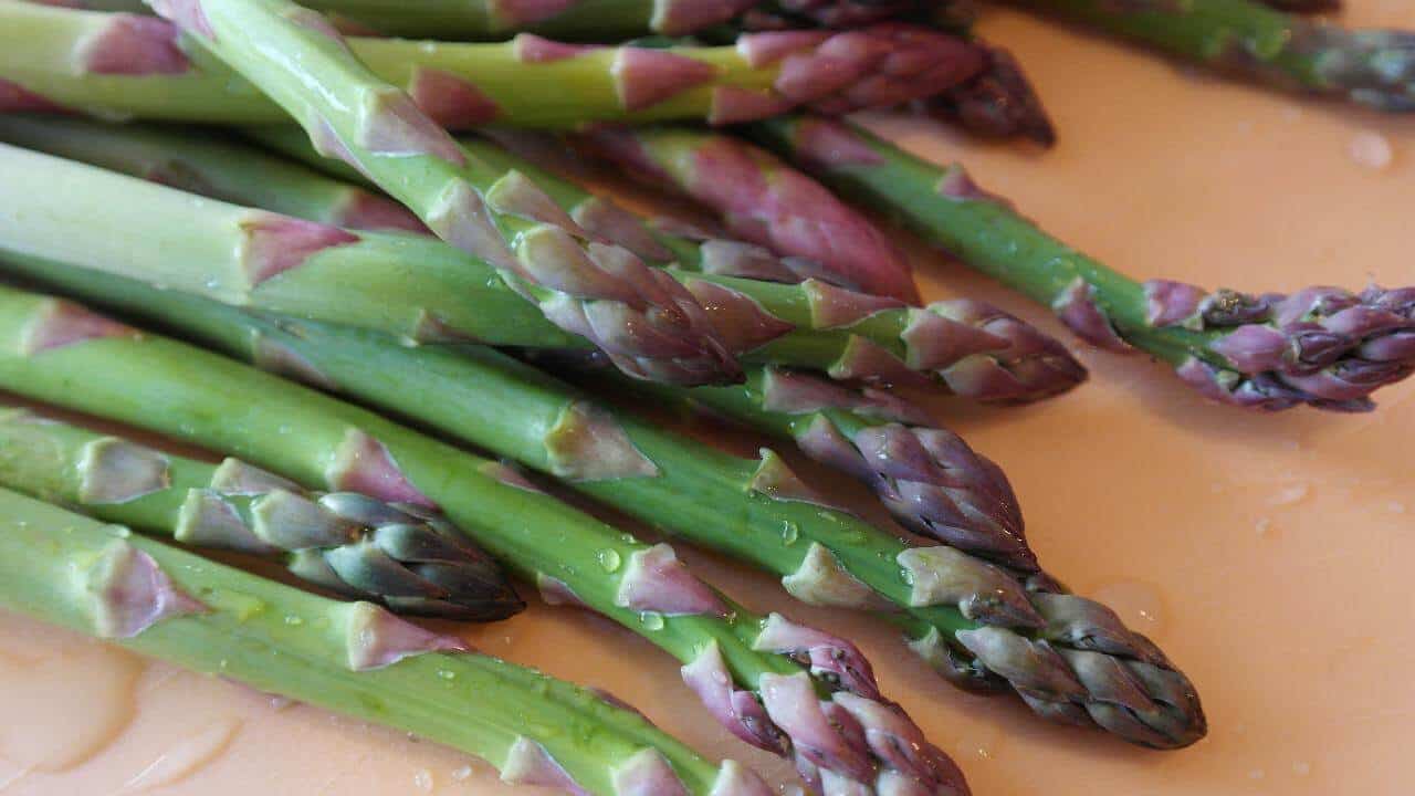 Growing and Caring for an Asparagus Plant